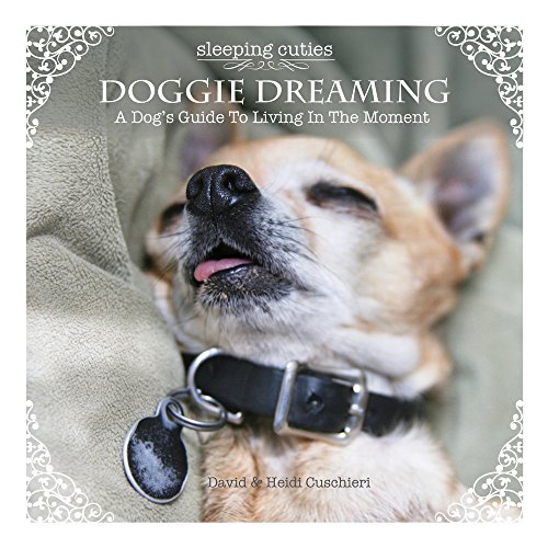 Imagen de archivo de Doggie Dreaming: A Dog's Guide to Living in the Moment a la venta por ThriftBooks-Dallas