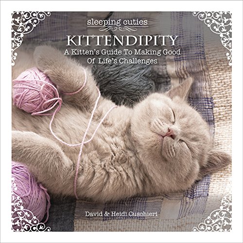 9780987299390: Kittendipity: A Kitten's Guide to Making Good of Life's Challenges