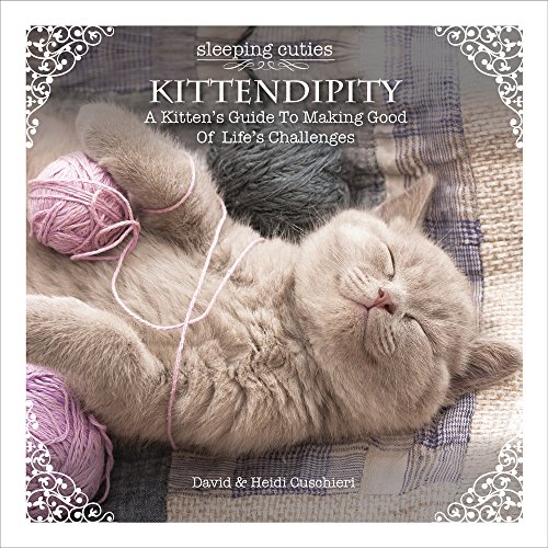 9780987299390: Kittendipity: A Kitten's Guide to Making Good of Life's Challenges (Sleeping Cuties)