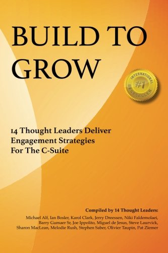 Stock image for Build To Grow: 14 Thought Leaders Deliver Engagement Strategies For The C-Suite for sale by Revaluation Books