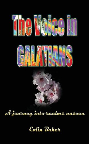 9780987577207: The Voice in Galatians: A Journey into Realms Unseen