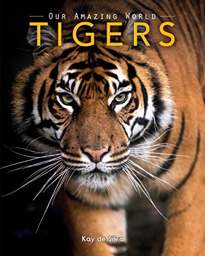 Beispielbild fr Tigers: Amazing Pictures & Fun Facts on Animals in Nature zum Verkauf von WorldofBooks