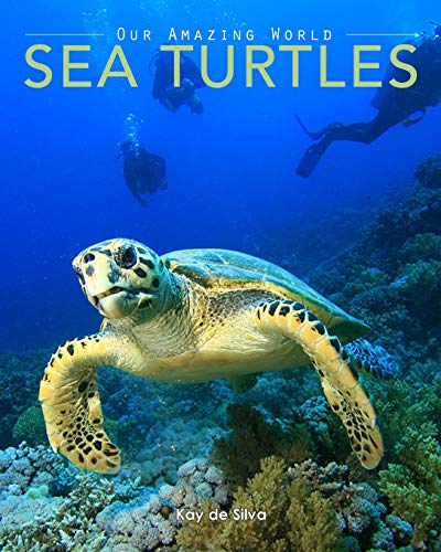 Beispielbild fr Sea Turtles: Amazing Pictures & Fun Facts on Animals in Nature zum Verkauf von ThriftBooks-Dallas