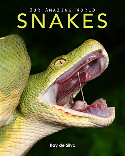 Beispielbild fr Snakes: Amazing Pictures & Fun Facts on Animals in Nature zum Verkauf von SecondSale