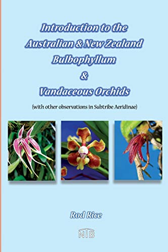 Stock image for Introduction to the Australian & New Zealand Bulbophyllum & Vandaceous Orchids (with other observations in subtribe Aeridinae). for sale by Russell Books