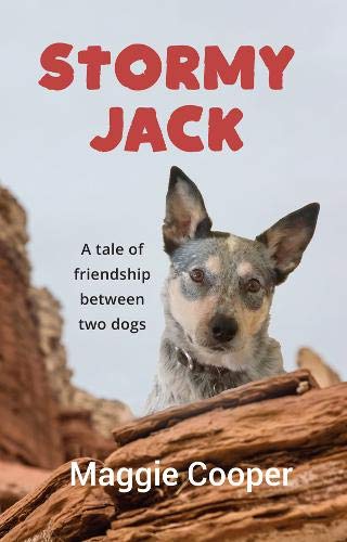 9780987639035: Stormy Jack: A Tale of Friendship Between Two Dogs