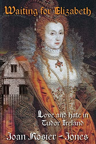 Beispielbild fr Waiting For Elizabeth: Love and Hate in Tudor Ireland zum Verkauf von WorldofBooks