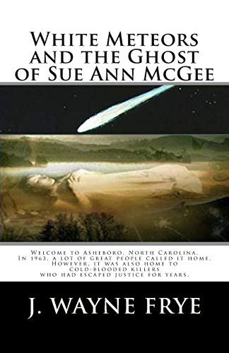 Beispielbild fr White Meteors and the Ghost of Sue Ann McGee (Aaron Adams Adventures) zum Verkauf von Lucky's Textbooks