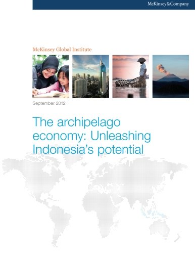 Stock image for The archipelago economy: Unleashing Indonesia's potential for sale by Revaluation Books