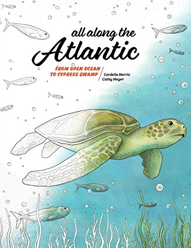 Stock image for All Along the Atlantic: From Open Ocean to Cypress Swamp (Coloring Nature) for sale by Lucky's Textbooks