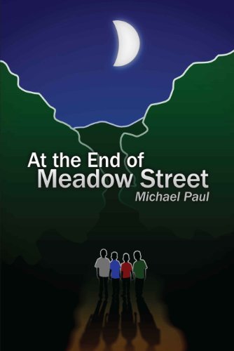 Beispielbild fr At the End of Meadow Street zum Verkauf von Irish Booksellers
