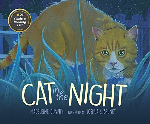 Stock image for Cat in the Night for sale by More Than Words