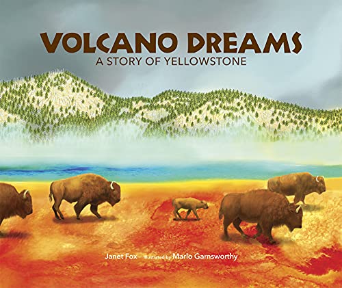 Stock image for Volcano Dreams: A Story of Yellowstone for sale by Decluttr