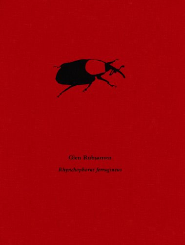 Beispielbild fr Glen Rubsamen: Rhynchophorus ferrugineus zum Verkauf von McCord Books