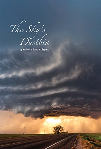 Beispielbild fr The Sky's Dustbin zum Verkauf von BookHolders