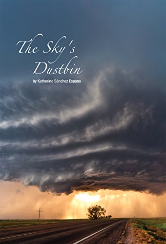 Stock image for The Sky's Dustbin for sale by BookHolders