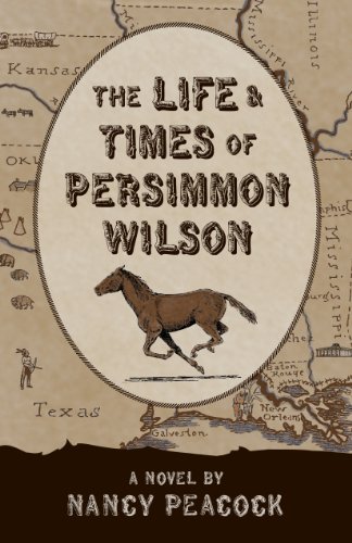 Stock image for The Life and Times of Persimmon Wilson : A Novel for sale by Better World Books