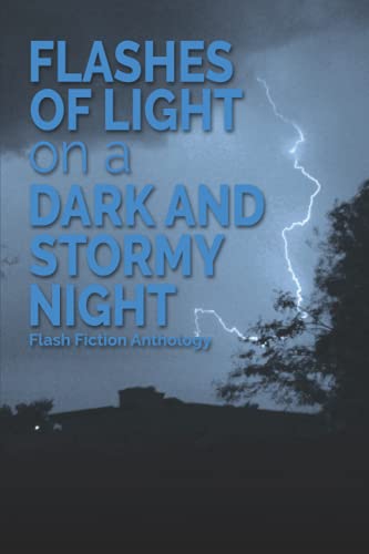 Stock image for Flashes of Light on a Dark and Stormy Night: Flash Fiction Anthology for sale by R Bookmark