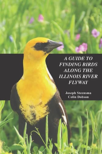 Imagen de archivo de A Guide to Finding Birds Along the Illinois River Flyway a la venta por ThriftBooks-Dallas