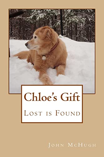 Beispielbild fr Chloe's Gift: Lost is Found zum Verkauf von Lucky's Textbooks