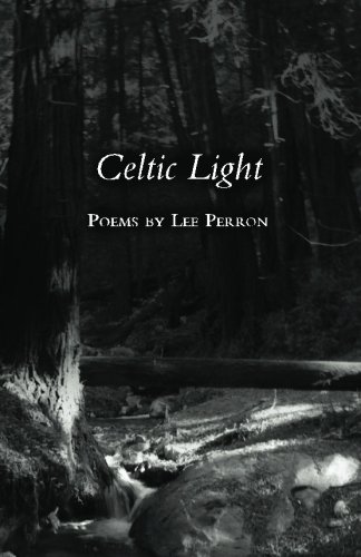 Beispielbild fr Celtic Light zum Verkauf von Revaluation Books