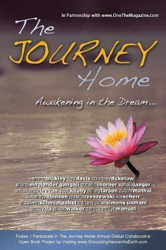 Beispielbild fr The Journey Home: Awakening in the Dream zum Verkauf von Reuseabook