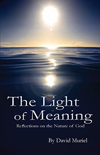 Stock image for The Light of Meaning for sale by Bookmans