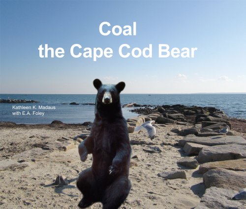 Stock image for Coal The Cape Cod Bear for sale by More Than Words