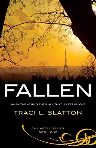 9780989023290: Fallen (The After Series)