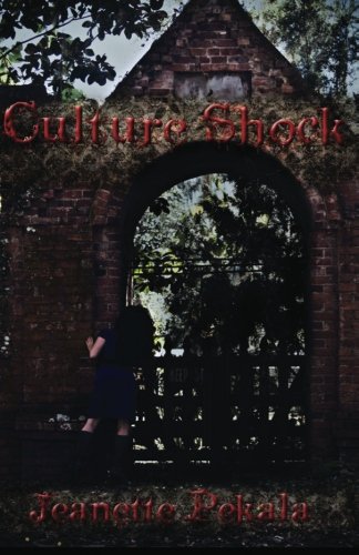 9780989158411: Culture Shock: Volume 1 (Culture Shock Series)