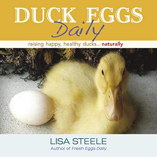 Stock image for Duck Eggs Daily: Raising Happy, Healthy Ducks.Naturally for sale by Goodwill Books