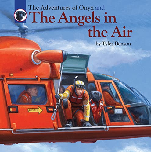 Beispielbild fr The Adventures of Onyx and The Angels in the Air (4) zum Verkauf von KuleliBooks