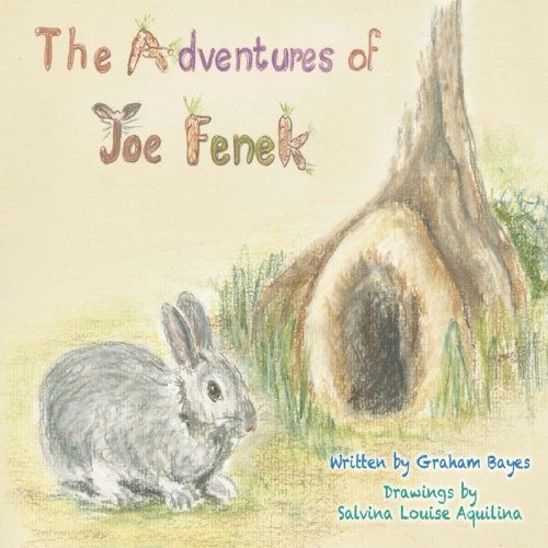 Imagen de archivo de The Adventures of Joe Fenek a la venta por Revaluation Books