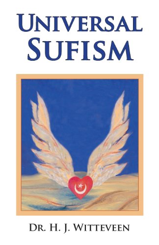 9780989455008: Universal Sufism