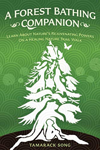 Stock image for A Forest Bathing Companion : Learn about Nature's Rejuvenating Powers on a Healing Nature Trail Walk for sale by Better World Books