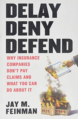 9780989501705: Delay Deny Defend--paperback