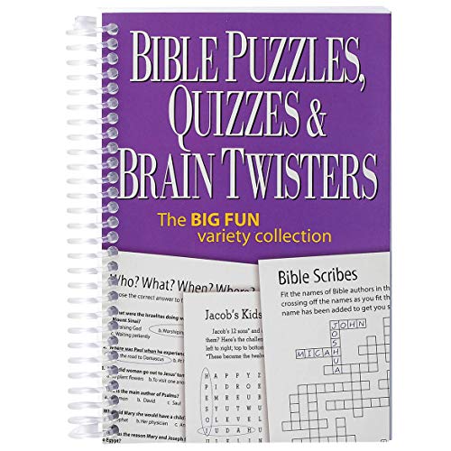 Beispielbild fr Bible Puzzles, Quizzes & Brain Twisters: The Big Fun Variety Collection zum Verkauf von ZBK Books