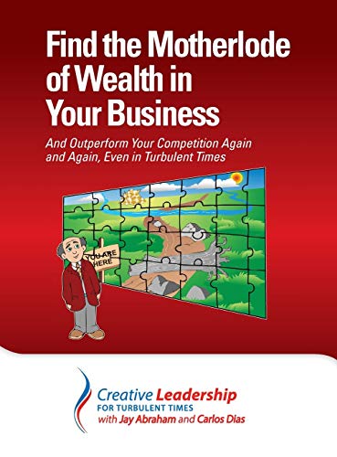 9780989597609: Find the Motherlode of Wealth in Your Business