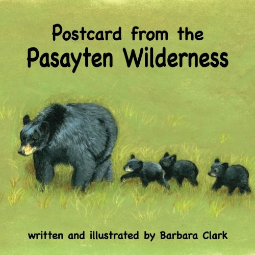 Beispielbild fr Postcard from the Pasayten Wilderness zum Verkauf von SecondSale