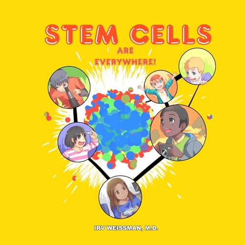 Stock image for Stem Cells are Everywhere for sale by THE SAINT BOOKSTORE