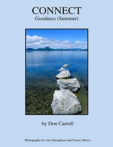 Beispielbild fr Connect: Summer (Goodness) zum Verkauf von THE SAINT BOOKSTORE
