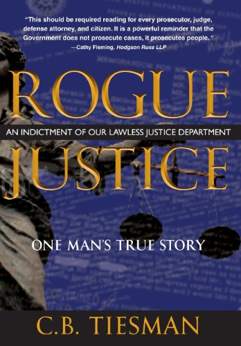 9780989837200: Rogue Justice