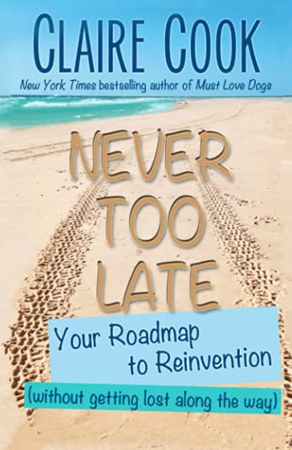 Stock image for Never Too Late: Your Roadmap to Reinvention (without getting lost along the way) for sale by Wonder Book