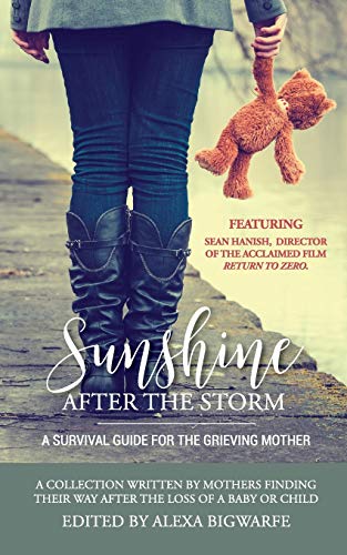 Stock image for Sunshine After the Storm: A Survival Guide for the Grieving Mother for sale by Ergodebooks