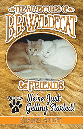 Imagen de archivo de The Adventures of B.B. Wyldecat & Friends: Book 1: We're Just Getting Started! a la venta por Half Price Books Inc.