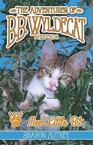 Imagen de archivo de The Adventures of B.B. Wyldecat & Friends: Book 2: Meet Little Bit a la venta por HPB-Ruby