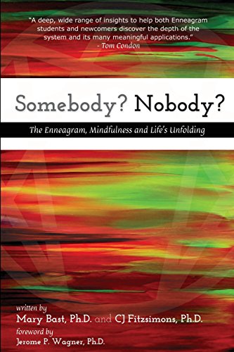 Beispielbild fr Somebody? Nobody?: The Enneagram, Mindfulness and Life's Unfolding zum Verkauf von Wonder Book