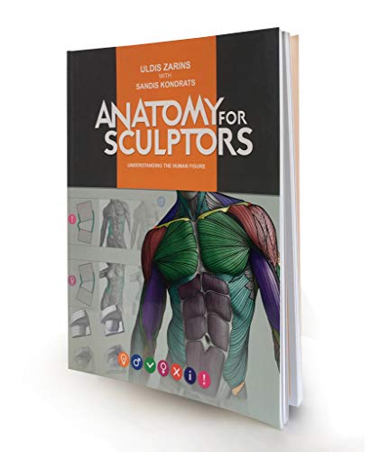 9780990341109: Anatomy for Sculptors Understanding the Human Figure - AbeBooks - Uldis Zarins