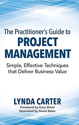 9780990354901: The Practitioner'S Guide To Project Management