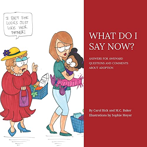 Stock image for WHAT DO I SAY NOW?: ANSWERS FOR AWKWARD QUESTIONS AND COMMENTS ABOUT ADOPTION for sale by SecondSale